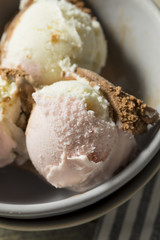 Homemade Neopolitan Ice Cream
