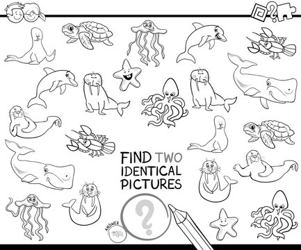 find two identical sea characters coloring book