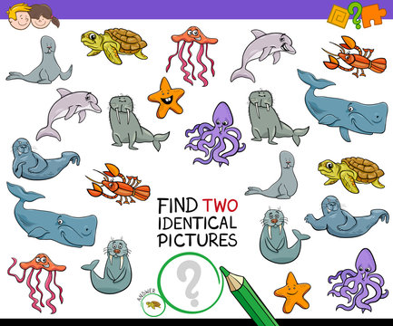 find two identical sea animals game for kids
