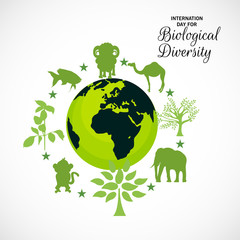International Day for Culture Diversity.