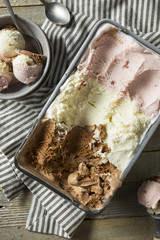 Homemade Neopolitan Ice Cream