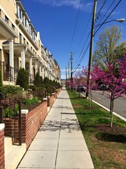 Row houses in the Brookland neighborhood of Washington, D.C.