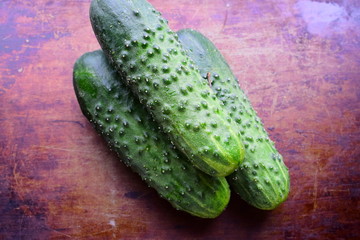 Three green ripe cucumber on a dark vintage brown background