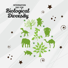 International Day for Culture Diversity.