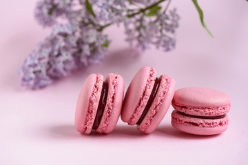 Selective focus three pink macaroons and a lilac branch