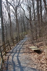 The gravel nature trail in the park forest on a sunny day.