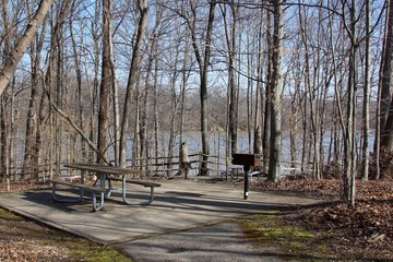 The picnic area overlooking the lake though the trees.