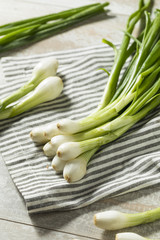 Raw Green Organic Spring Bulb Onions