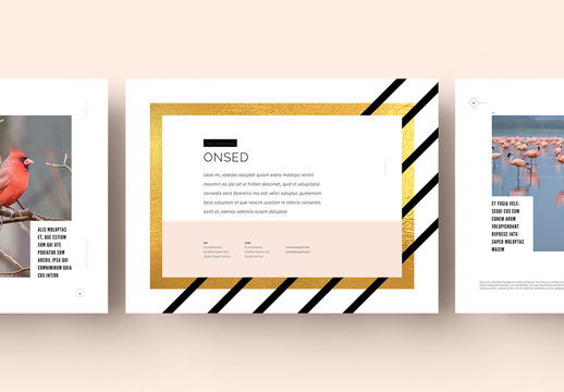 Modisches Angebotslayout