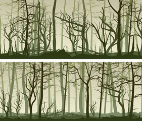 Horizontal wide banners with many tree trunks.