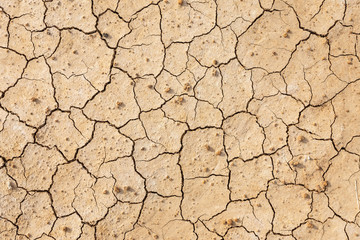 Brown dry soil or cracked ground texture background.