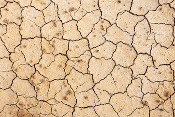 Brown dry soil or cracked ground texture background.