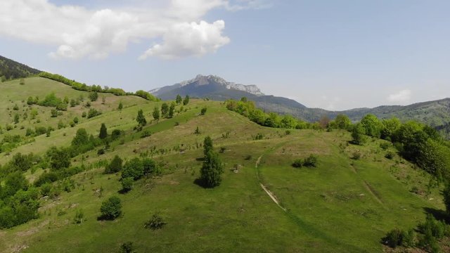 Flying abobe lush meadow in a beautiful spring landscape, Aerial view of green forest and mountain
