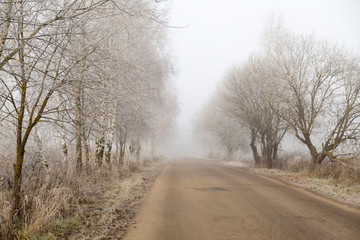Obraz na płótnie Canvas Fog road