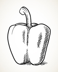 Sweet pepper vegetable illustration
