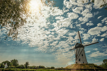 Fototapeta premium Old windmill next to canal with bushes and grove, sunlight and blue cloudy sky, near Damme. A quiet and charming countryside old village near Bruges. Northwestern Belgium. Retouched photo