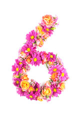 letters and numbers made from live flowers isolated on white background, make text with flowers alphabet, exclusive idea for graphic