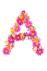 letters and numbers made from live flowers isolated on white background, make text with flowers alphabet, exclusive idea for graphic