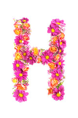 letters and numbers made from live flowers isolated on white background, make text with flowers alphabet, exclusive idea for graphic