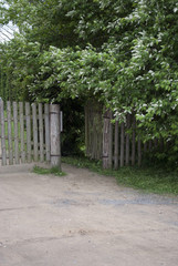 Gate in an old wooden fence, overgrown with bushes