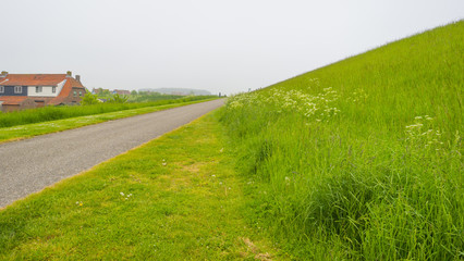 Green grassy dike protecting land against the North Sea 