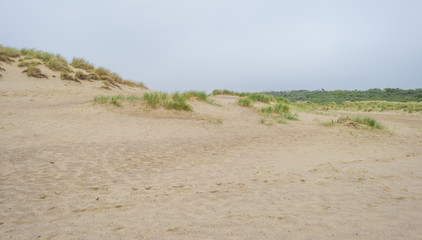 Recreational beach along the North Sea viewed from a dune in spring