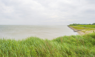Green grassy dike protecting land against the North Sea 