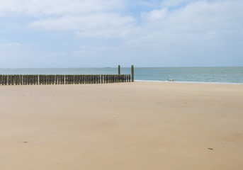 Groyne on a recreational beach in sunlight in spring protecting land from sea