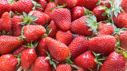 Freshly picked strawberries are ready to use