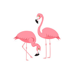 Flamingos. Watercolor tropical illustration with flamingo couple and palm tree leaves background. Hand drawn bright art in vector