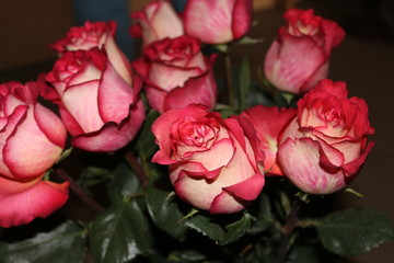 Bouquet of beautiful roses