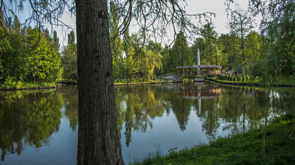 Fototapeta na wymiar Colored lake and trees