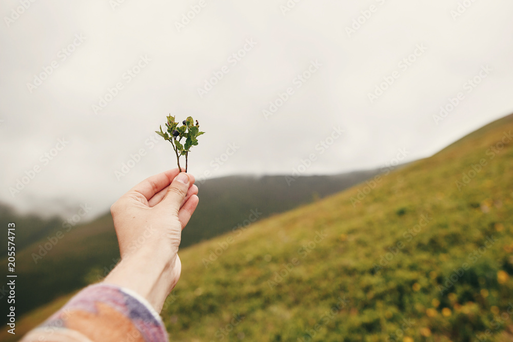 Wall mural hand holding blueberries branch on background of sunny mountains and sky. travel and wanderlust concept. summer vacation. traveler picking up bilberries