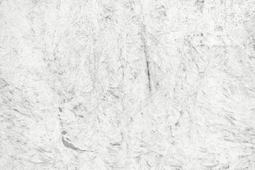 Obraz premium Bright white distressed grunge texture