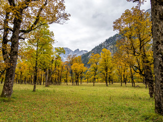 Österreich - Tirol - Großer Ahornboden