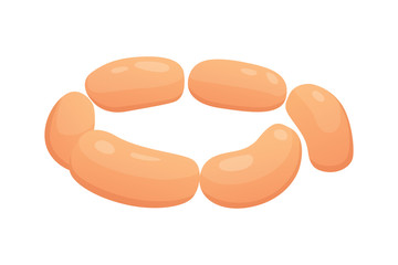 Fresh meat product. Sausage vector illustration in cartoon style.