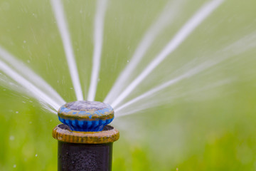 automatic sprinkler system watering the lawn on a background of green grass