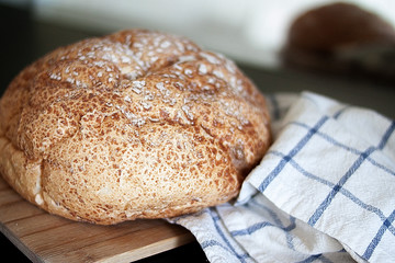 Freshly tasty baked bread with white towel and black background.