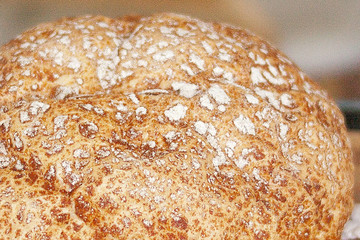 Freshly baked bread close up. Texture. Cooking concept