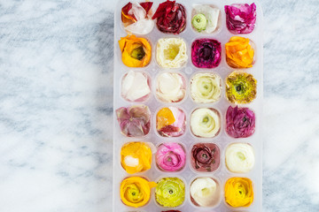 Obraz na płótnie Canvas Tray with Frozen Ranunculus Flowers in Ice Cubes