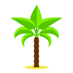Palm tree / tropical plants isolated on white background for site header, footer, web banner, flyer or postcard, modern flat design conceptual style. Vector illustration. - 205582906