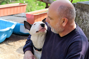 Man with dog. English Bull Terrier white dog in company with his owner sitting and enjoying in the...
