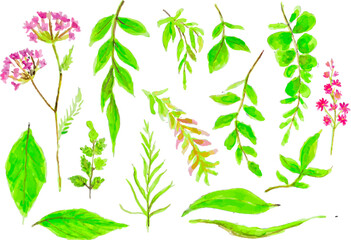 beautiful flower frame vector.Greeting card with flowers, watercolor, can be used as invitation card for wedding, birthday and other holiday and summer background.Watercolor imitation 