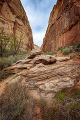 Obraz premium Capitol Reef Desert Landscape. The incredible sandstone geological formations feature layers of golden sandstone, canyons and striking rock formations.Capitol Reef National Park, Utah, USA. 