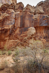 Capitol Reef Desert Landscape. The incredible sandstone geological formations feature layers of golden sandstone, canyons and striking rock formations.Capitol Reef National Park, Utah, USA. 