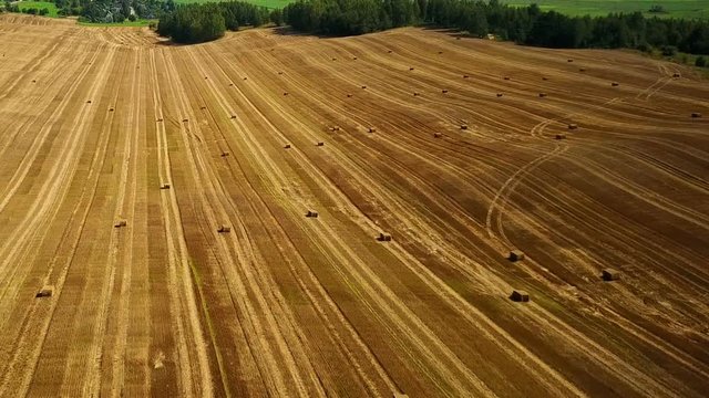 Flight over cultivated fields with haystacks after harvesting. Aerial panoramic view.