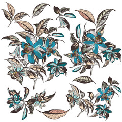 Collection of vector high detailed hand drawn tropical flowers for design