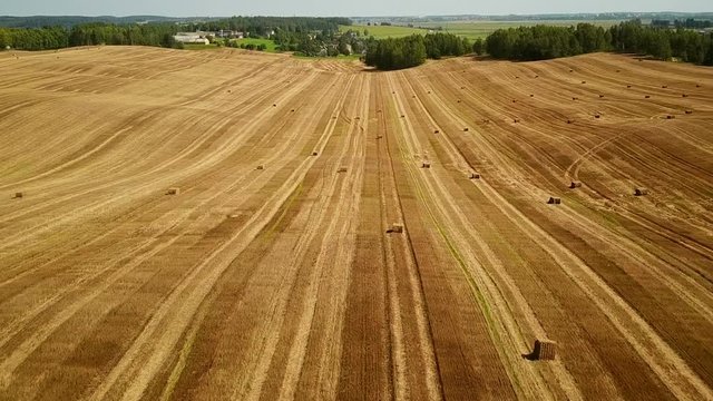 Low flight over cultivated fields with haystacks after harvesting. Aerial motion view.