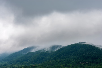 Obraz na płótnie Canvas Foggy mountain on a rainy day
