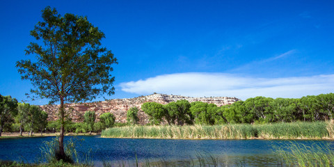Obraz premium Ultrawide panorama of the lagoon, marsh, trees, and cliff at Dead Horse Ranch State Park, with water from the Verde River